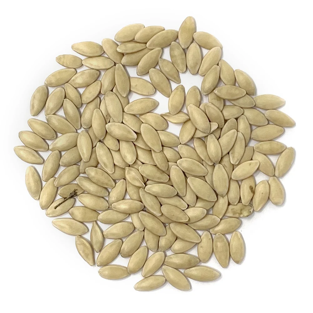 Cucumber Seed