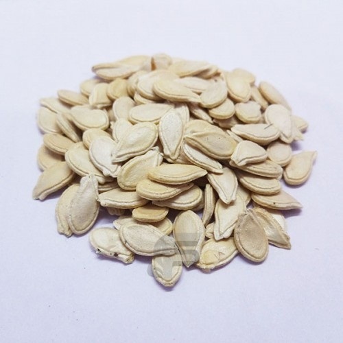 Lauki Seed
